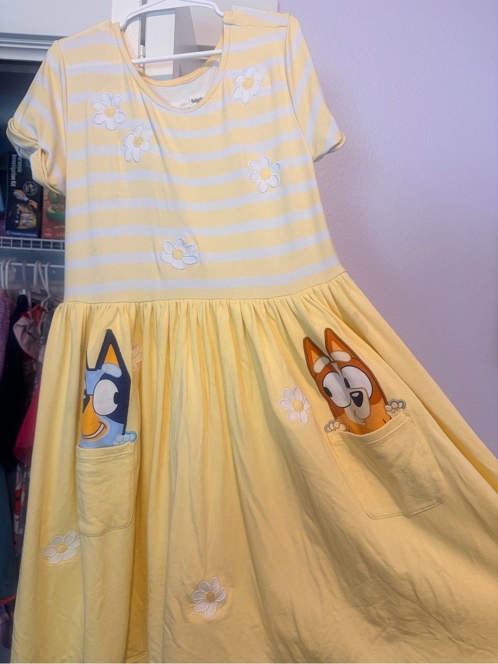 Little Sleepies Bluey & Bingo Daisy Pocket twirl Dress